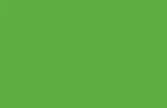 Apple green Polyester Gazebo Colour