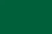 Green Polyester Gazebo Colour