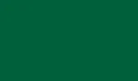 Green Polyester Gazebo Colour