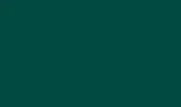 Deep green Polyester Gazebo Colour